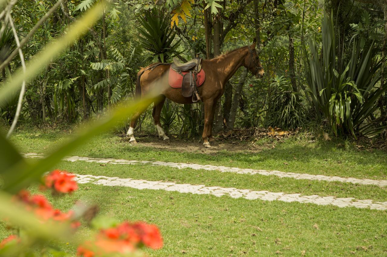 Estancia De La Campina Nono Εξωτερικό φωτογραφία